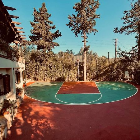 Villa Eleni ซูนิโอ ภายนอก รูปภาพ